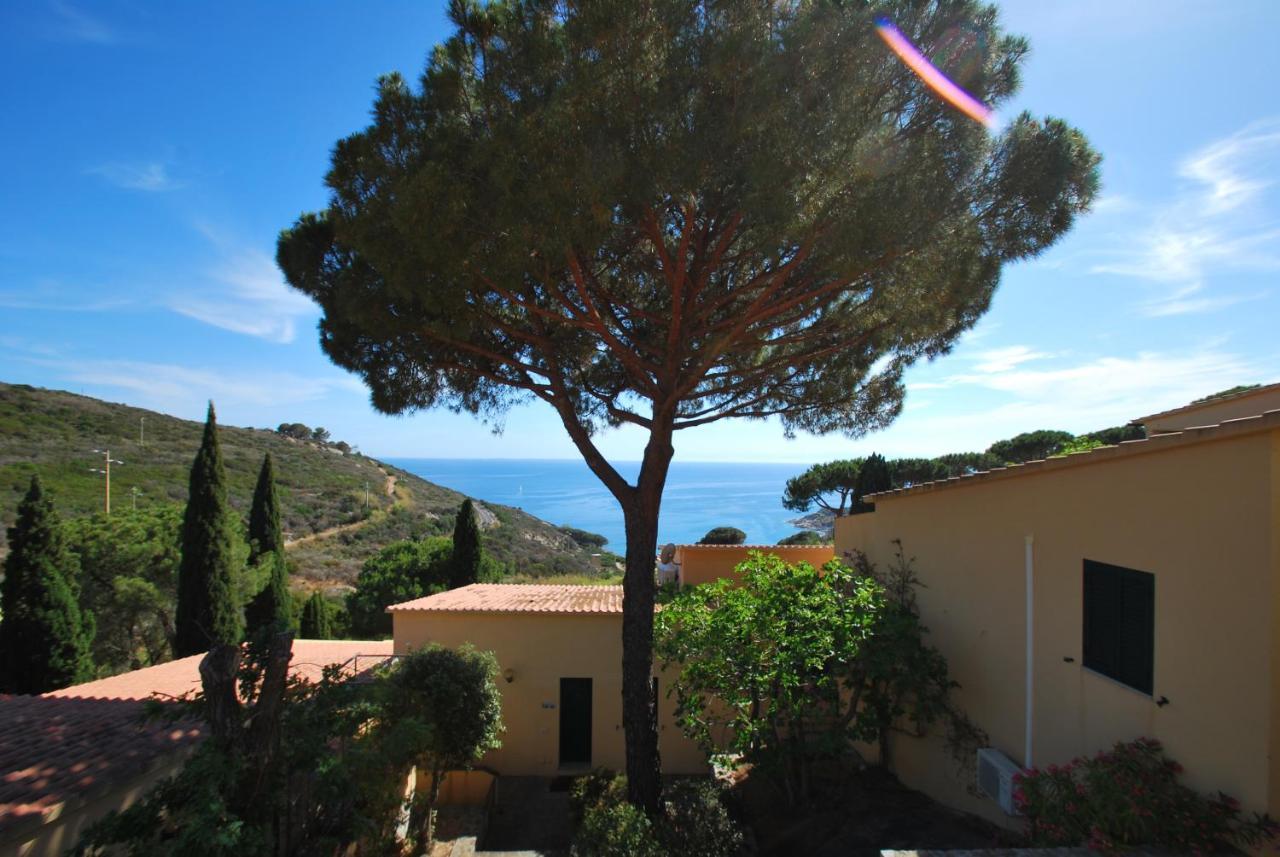 Grotta Azzurra Apartment - Cavoli - Terrazza Vista Mare, Clima E Parcheggio San Piero in Campo  Exterior foto